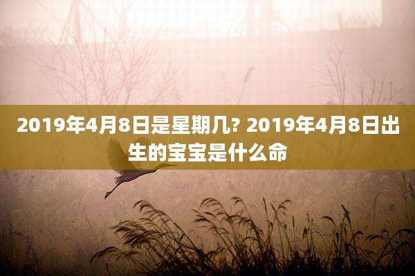2019年4月8日是星期几? 2019年4月8日出生的宝宝是什么命