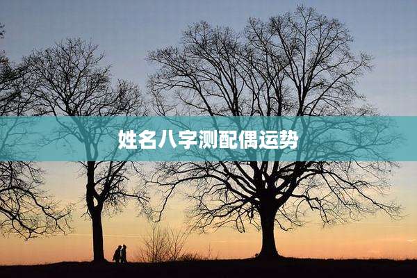 姓名八字测配偶运势