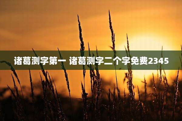 诸葛测字第一 诸葛测字二个字免费2345