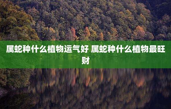 属蛇种什么植物运气好 属蛇种什么植物最旺财