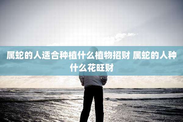 属蛇的人适合种植什么植物招财 属蛇的人种什么花旺财