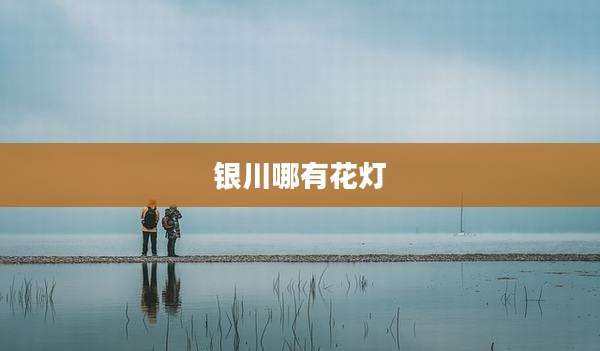 银川哪有花灯