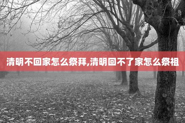 清明不回家怎么祭拜,清明回不了家怎么祭祖