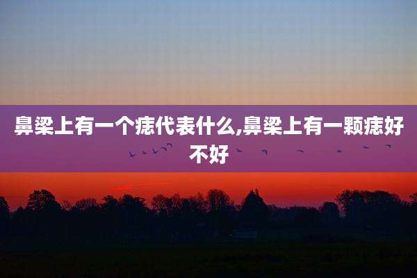 鼻梁上有一个痣代表什么,鼻梁上有一颗痣好不好