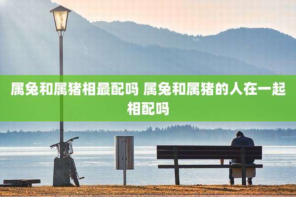 属兔和属猪相最配吗 属兔和属猪的人在一起相配吗