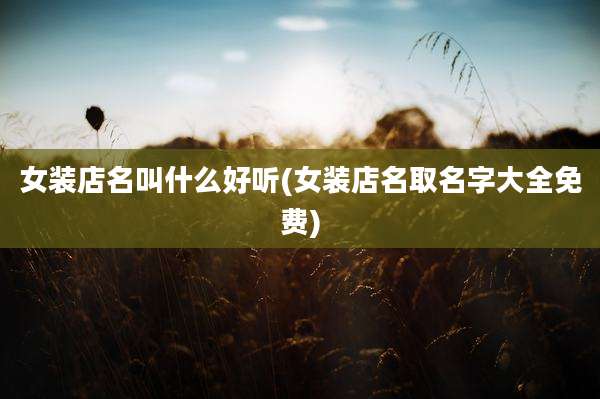 女装店名叫什么好听(女装店名取名字大全免费)