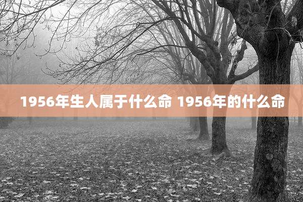 1956年生人属于什么命 1956年的什么命