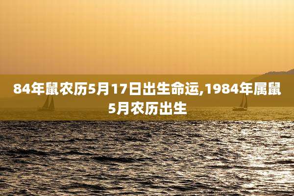 84年鼠农历5月17日出生命运,1984年属鼠5月农历出生
