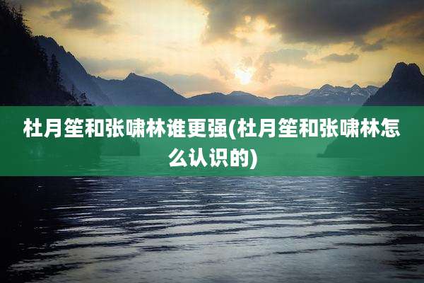 杜月笙和张啸林谁更强(杜月笙和张啸林怎么认识的)
