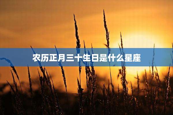 农历正月三十生日是什么星座
