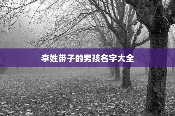 李姓带子的男孩名字大全