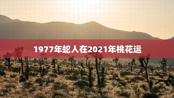 1977年蛇人在2021年桃花运