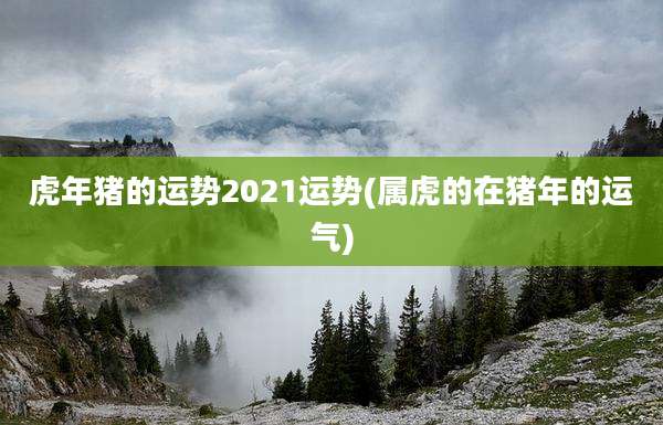 虎年猪的运势2021运势(属虎的在猪年的运气)