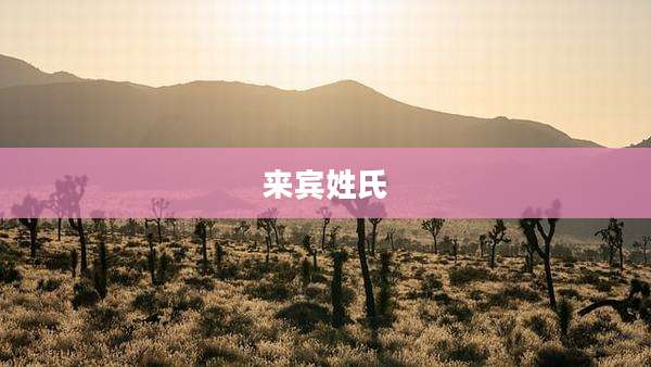 来宾姓氏