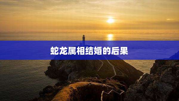 蛇龙属相结婚的后果