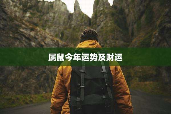 属鼠今年运势及财运
