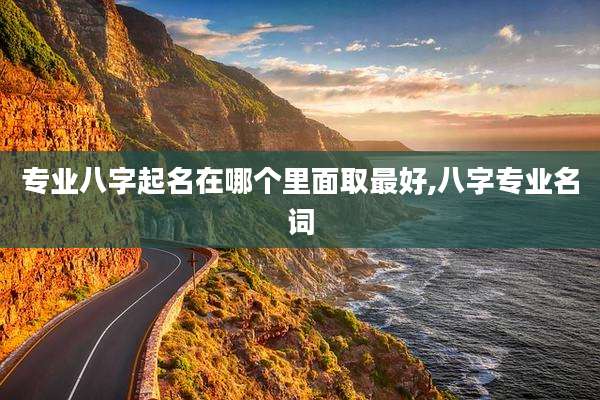 专业八字起名在哪个里面取最好,八字专业名词