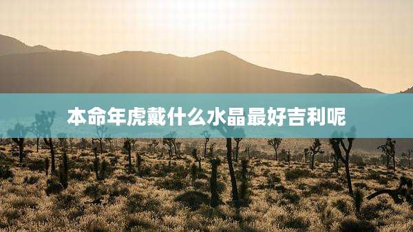 本命年虎戴什么水晶最好吉利呢