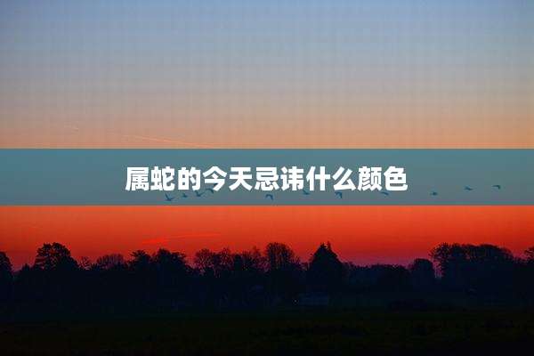 属蛇的今天忌讳什么颜色