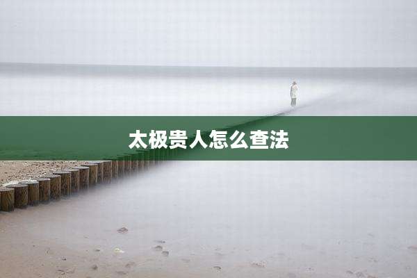 太极贵人怎么查法