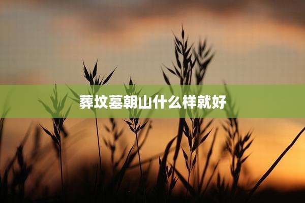 葬坟墓朝山什么样就好