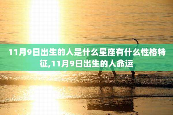 11月9日出生的人是什么星座有什么性格特征,11月9日出生的人命运