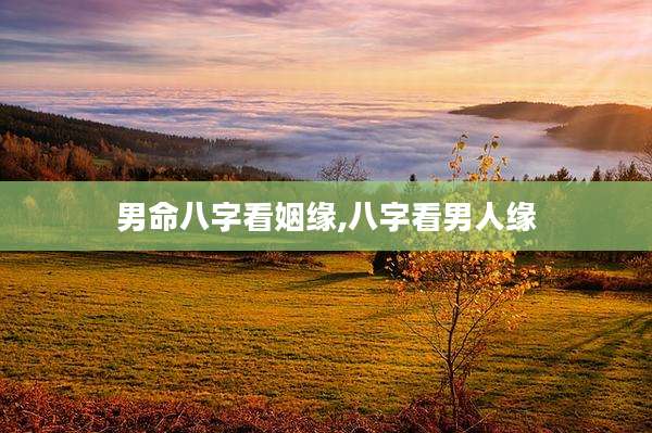 男命八字看姻缘,八字看男人缘