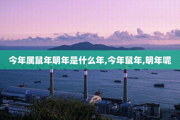 今年属鼠年明年是什么年,今年鼠年,明年呢