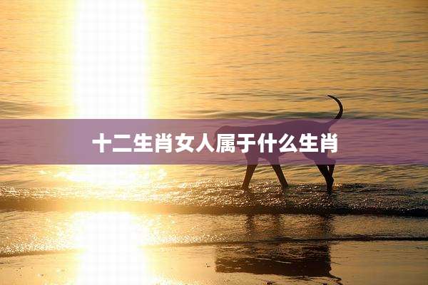 十二生肖女人属于什么生肖