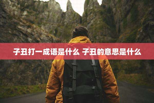 子丑打一成语是什么 子丑的意思是什么