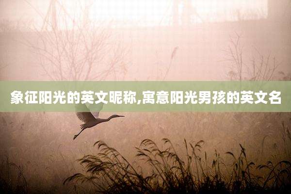 象征阳光的英文昵称,寓意阳光男孩的英文名