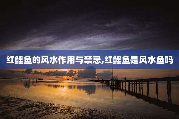 红鲤鱼的风水作用与禁忌,红鲤鱼是风水鱼吗