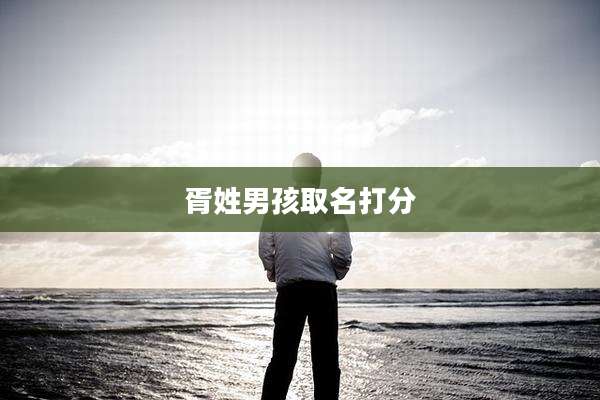 胥姓男孩取名打分