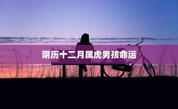 阴历十二月属虎男孩命运