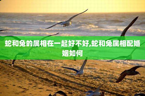 蛇和兔的属相在一起好不好,蛇和兔属相配婚姻如何
