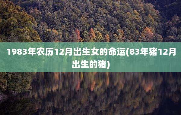1983年农历12月出生女的命运(83年猪12月出生的猪)