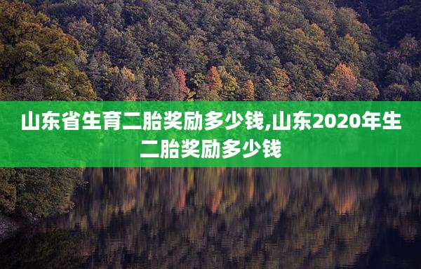 山东省生育二胎奖励多少钱,山东2020年生二胎奖励多少钱