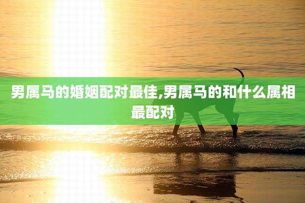 男属马的婚姻配对最佳,男属马的和什么属相最配对