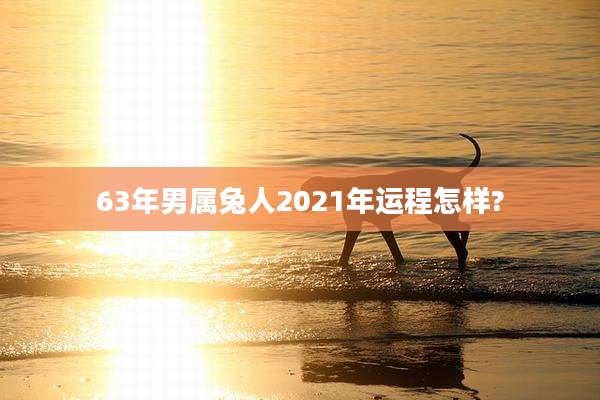 63年男属兔人2021年运程怎样?