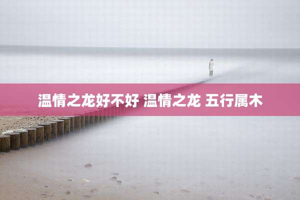 温情之龙好不好 温情之龙 五行属木