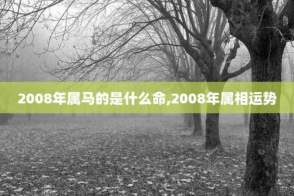 2008年属马的是什么命,2008年属相运势