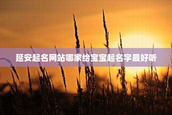 延安起名网站哪家给宝宝起名字最好听