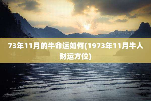 73年11月的牛命运如何(1973年11月牛人财运方位)