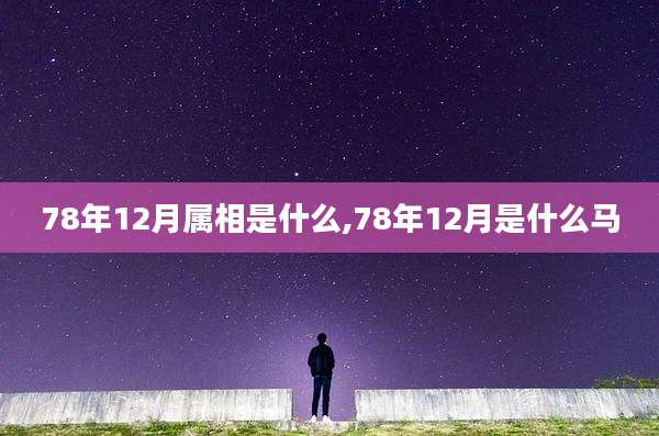 78年12月属相是什么,78年12月是什么马
