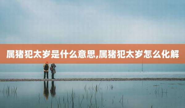 属猪犯太岁是什么意思,属猪犯太岁怎么化解