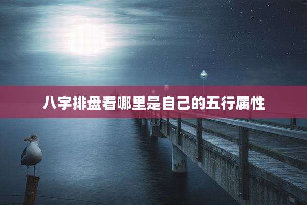 八字排盘看哪里是自己的五行属性