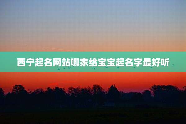 西宁起名网站哪家给宝宝起名字最好听