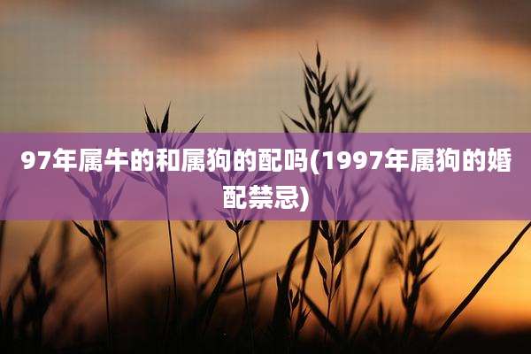 97年属牛的和属狗的配吗(1997年属狗的婚配禁忌)
