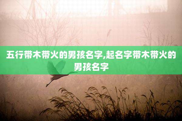 五行带木带火的男孩名字,起名字带木带火的男孩名字