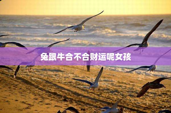 兔跟牛合不合财运呢女孩